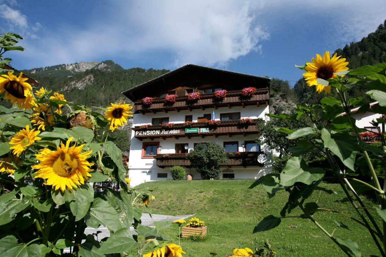 Appartement Antonius Pfunds
